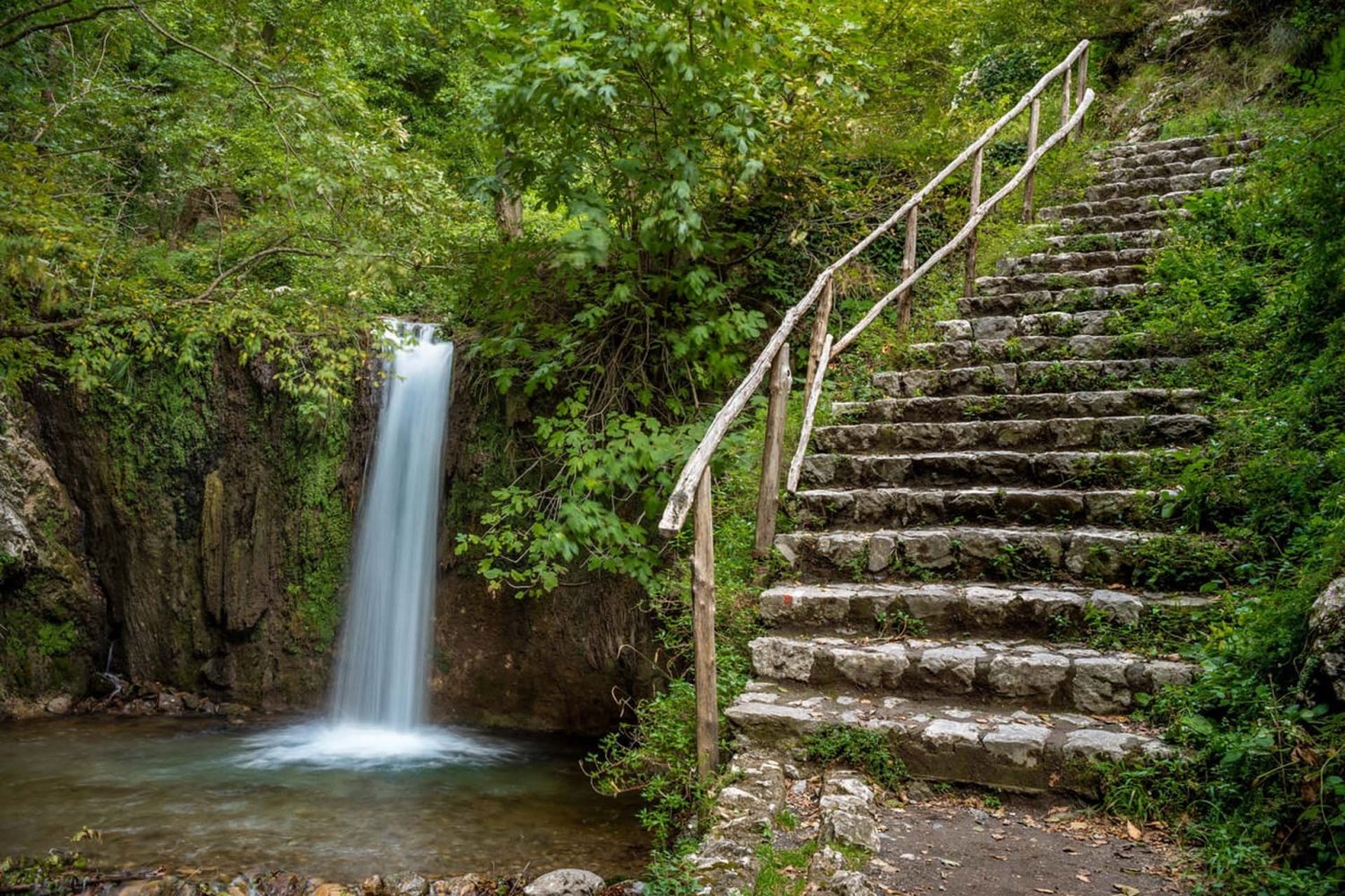 Incredible Valle delle Ferriere Private Hiking Tour SorrentoVibes Incredible Valle delle Ferriere Private Hiking Tour SorrentoVibes